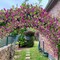 Artificial Bougainvillea Flowers Garland Purple Silk Bougainvillea Vines